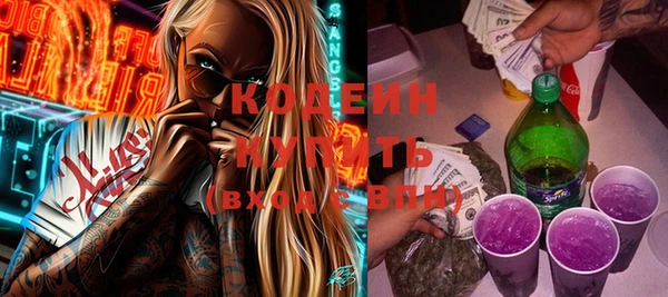 спиды Бикин