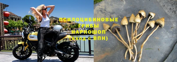 спайс Медвежьегорск
