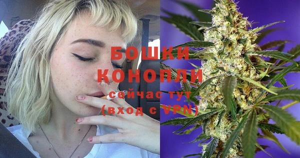 spice Магас