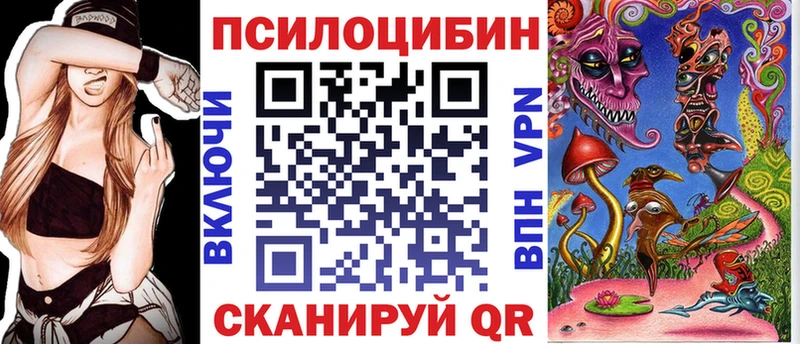 продажа наркотиков  Поворино  Галлюциногенные грибы прущие грибы 